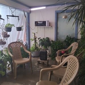 Meet your Posher, Patty